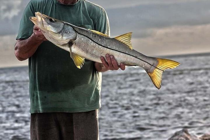 Fishing