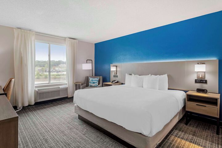 1 King Bed (2 of 9)