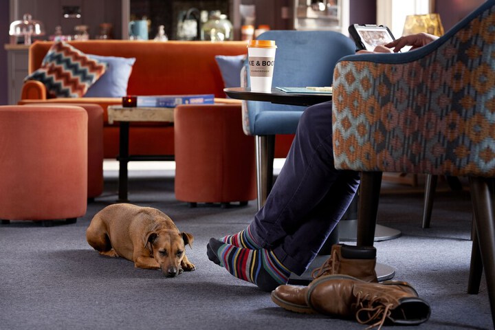 Pet Friendly 42 of 60