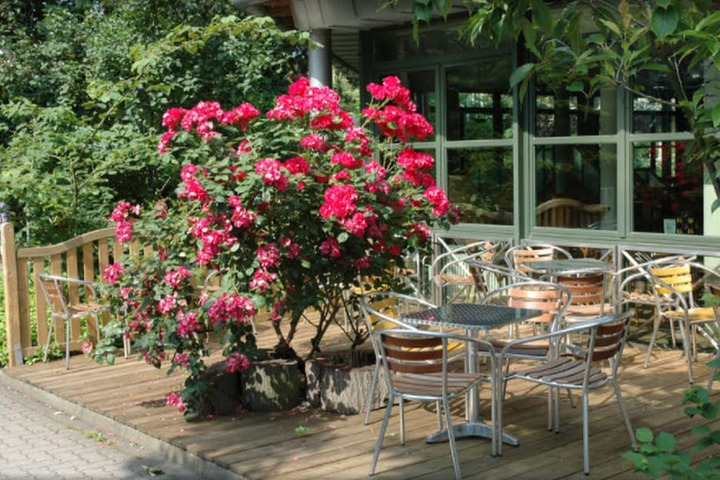 Terrace/Patio 26 of 29