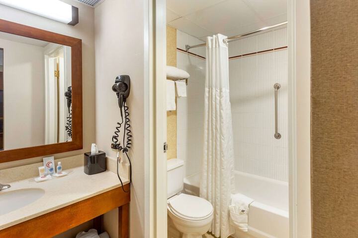 1 King Bed Suite (14 of 14)