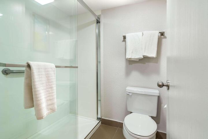 1 King Bed Accessible (3 of 4)