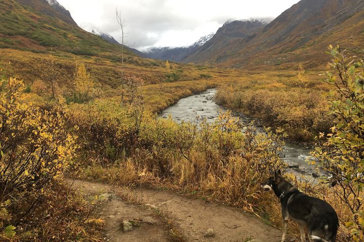 Hiking