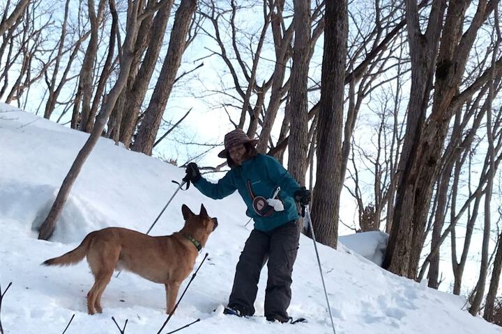 Skiing