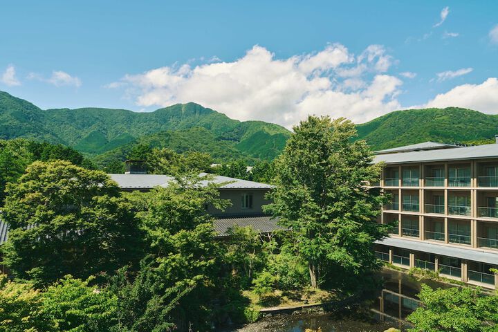 View from room
