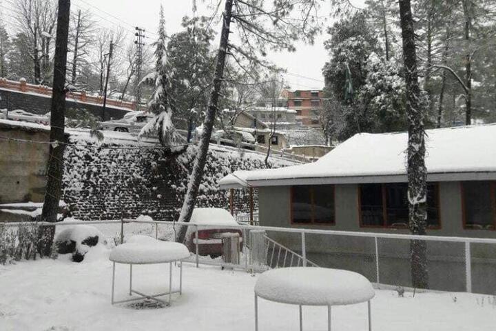 New Kotwal Hotel & Restaurant