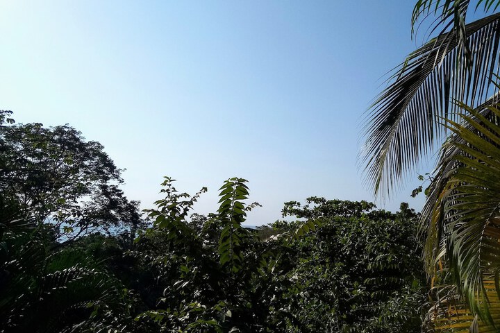Hotel View 56 of 61