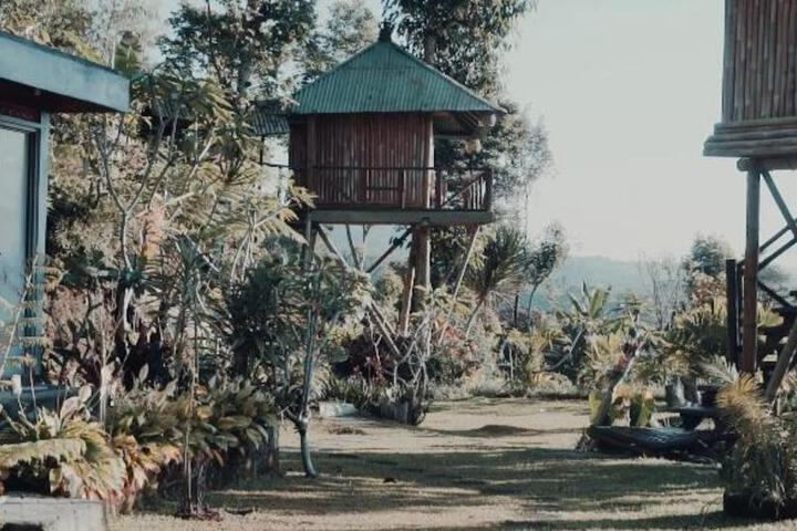bali tree house