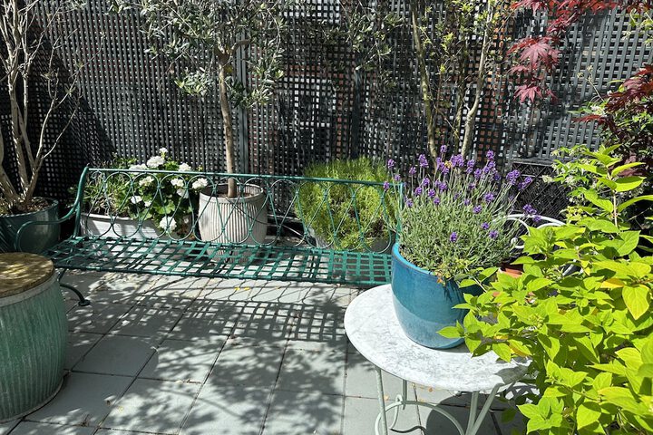 Terrace/Patio 47 of 49