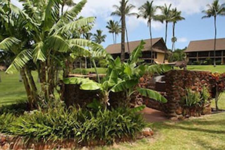 Kepuhi Beach Condo 1234 Studio Bedroom 1 Bathroom Condo in Maunaloa, HI