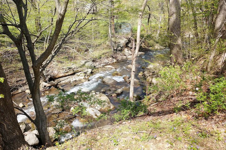 View from room