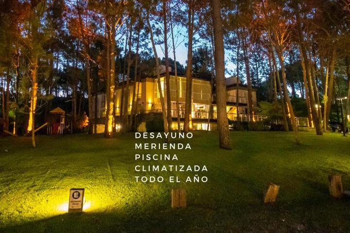 Sonidos Del Bosque