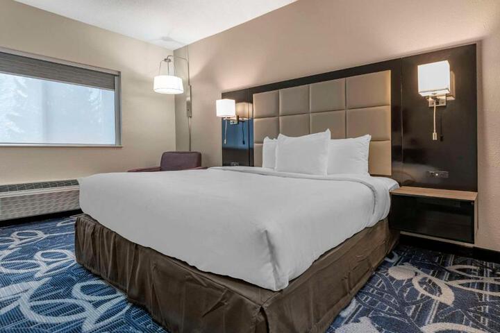1 King Bed Accessible (10 of 13)