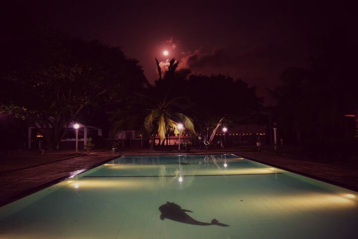 Pool 32 of 64
