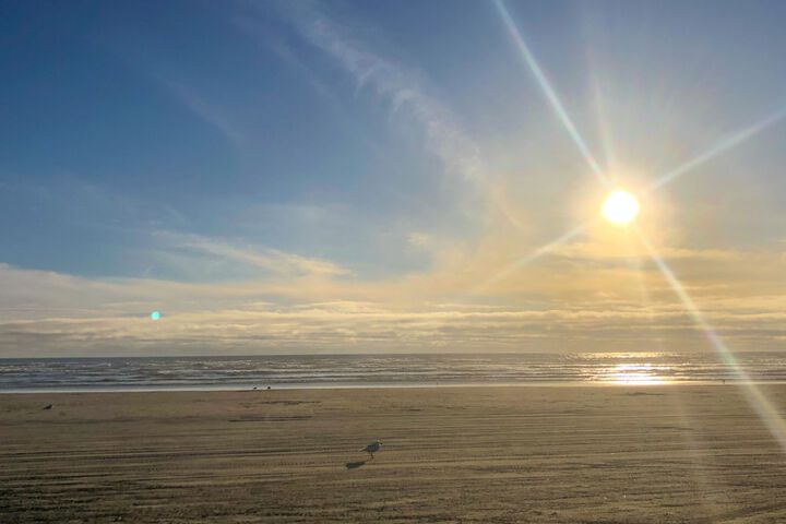 Beach 68 of 83