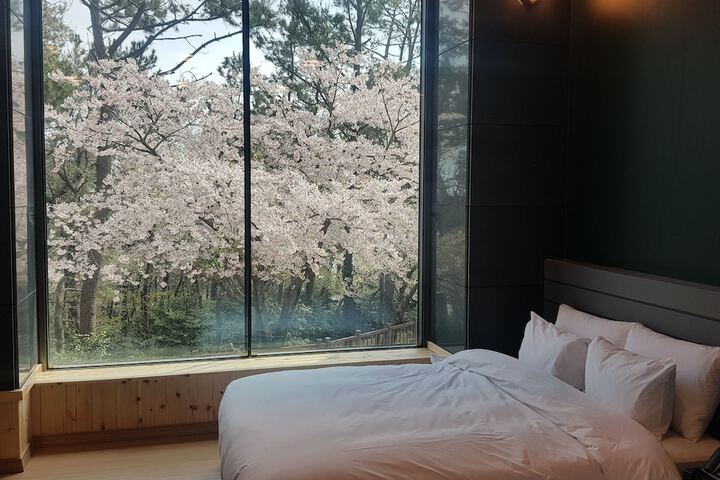Room 11 of 69