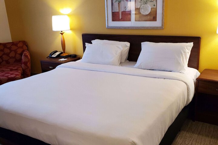 1 King Bed (6 of 12)
