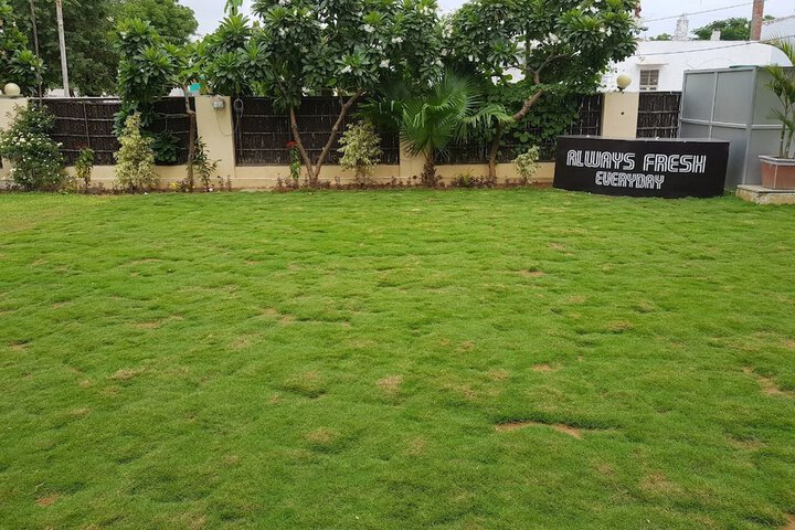 Property Grounds 28 of 36