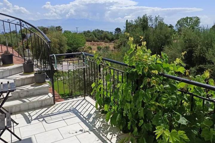 Terrace/Patio 51 of 81