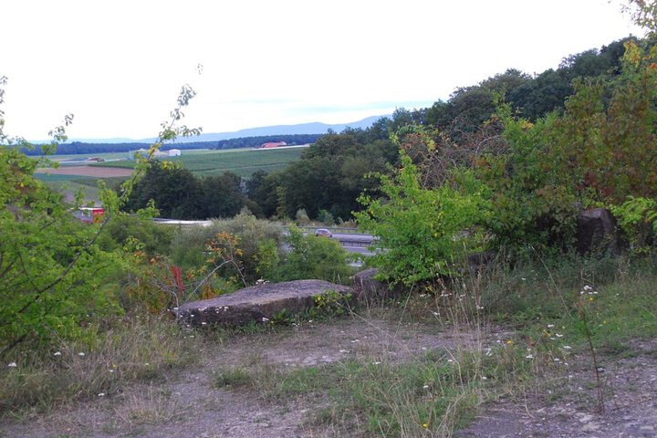Property Grounds 46 of 59