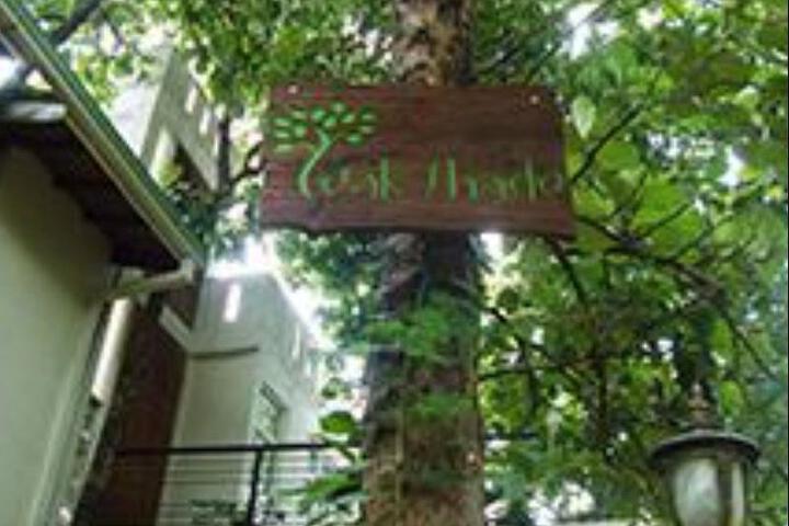 The Teak Shade