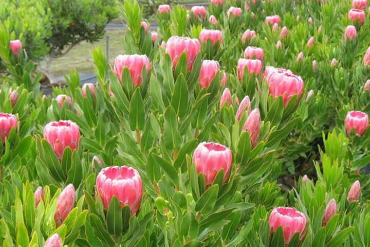 Hotel Exterior 3 of 6