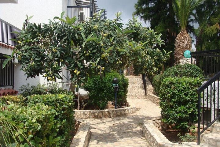 Photo 18