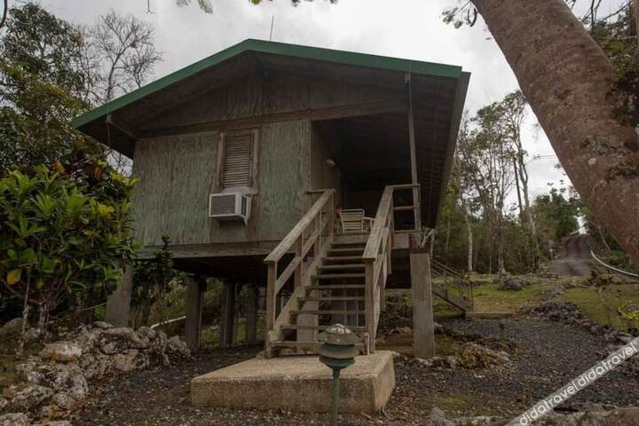 General 24 of 49