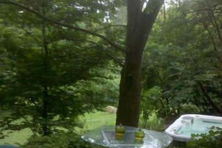 Terrace/Patio 20 of 22