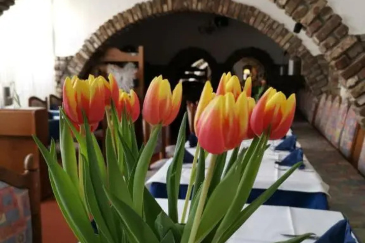 Dining 9 of 9