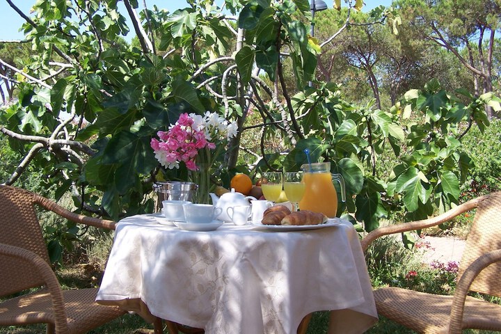 Breakfast/Coffee Service 11 of 32