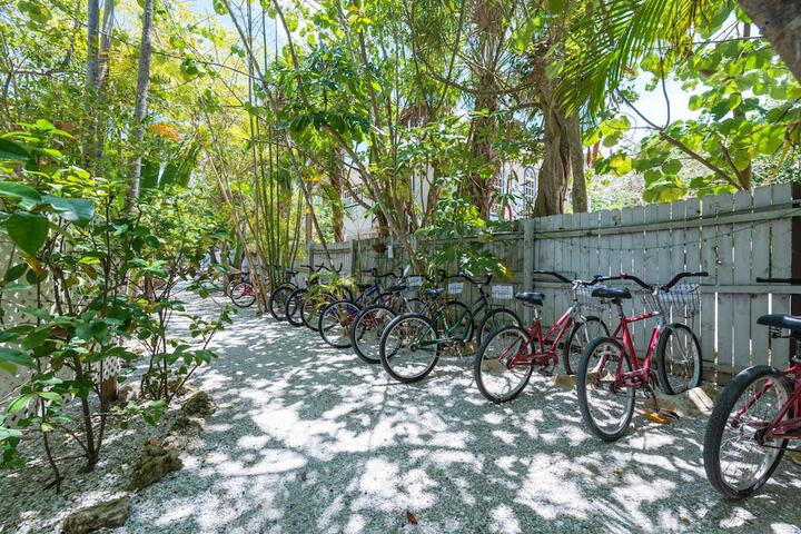 Outdoor Activities 45 of 68