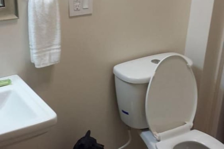 Room 8 of 22
