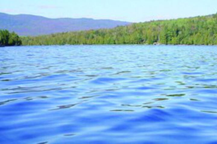 Property Grounds 6 of 12