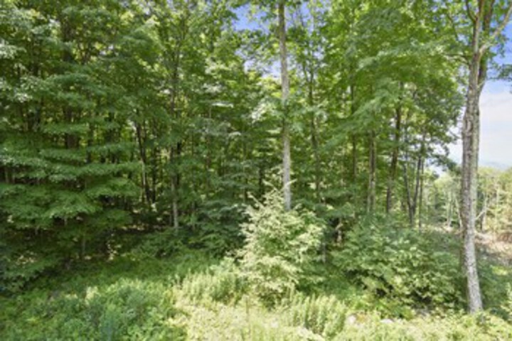 Property Grounds 40 of 57