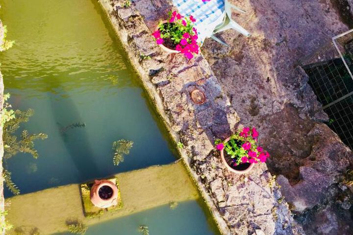 General 34 of 77