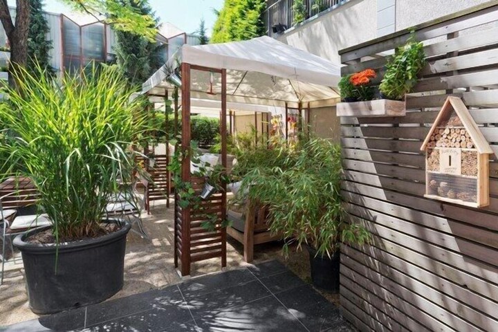 Terrace/Patio 36 of 36
