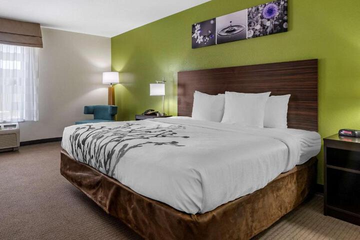 1 King Bed (2 of 17)
