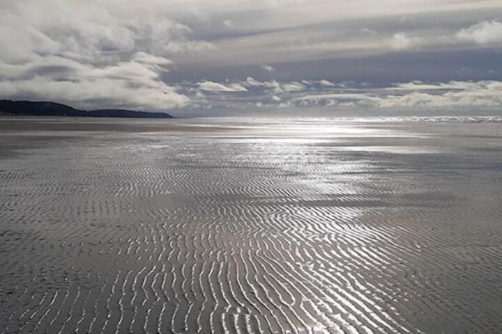 Beach 41 of 54