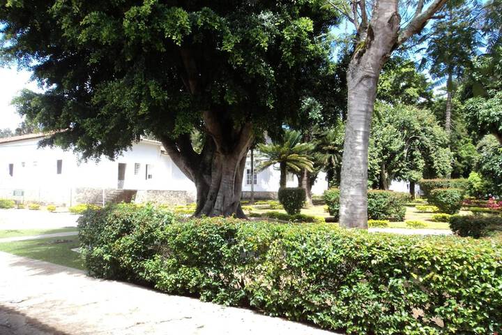 Property Grounds 29 of 40