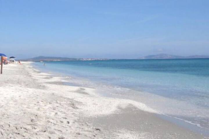 Beach 124 of 161