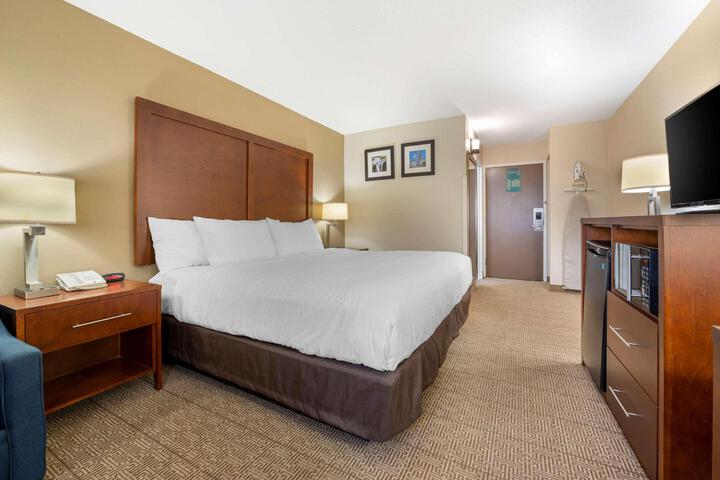 Standard King Bed Accessible (4 of 18)