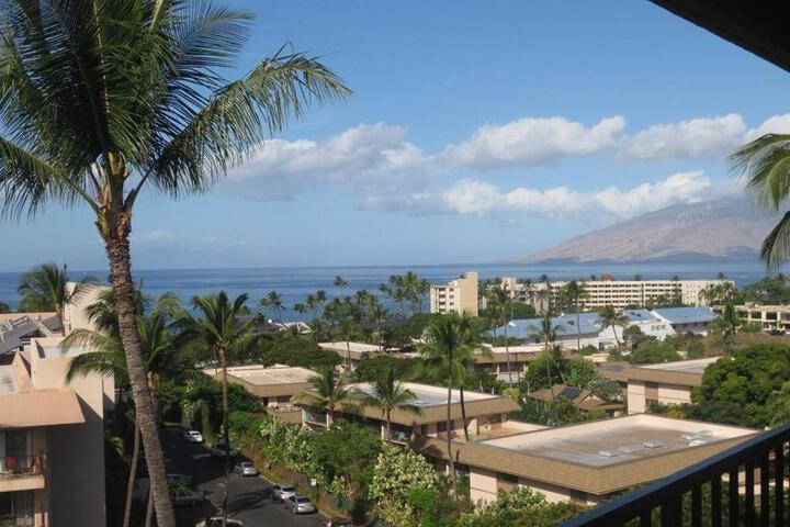 Kihei Akahi D604