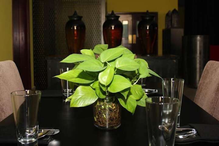 Dining 44 of 48