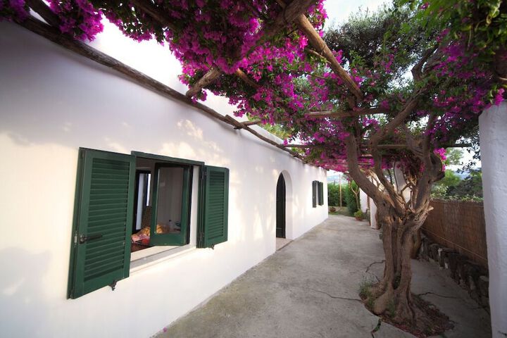 Hotel Exterior 246 of 246