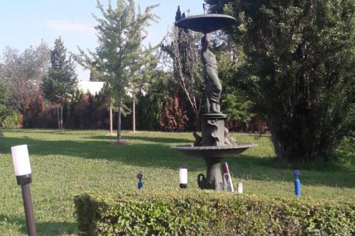 Photo 18