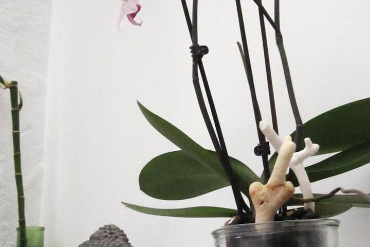 Breakfast/Coffee Service 59 of 68