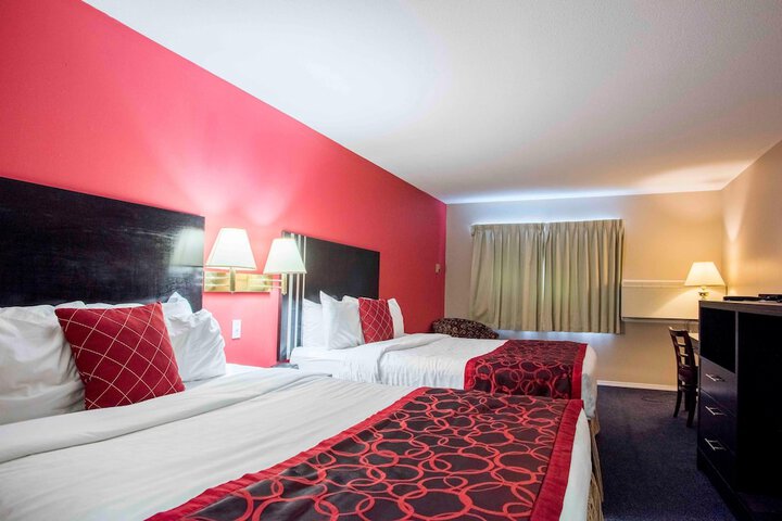 Room 19 of 52