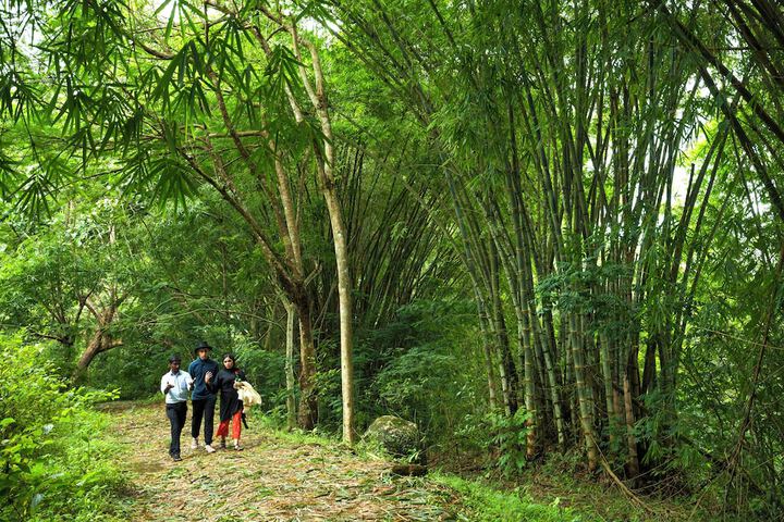 Hiking