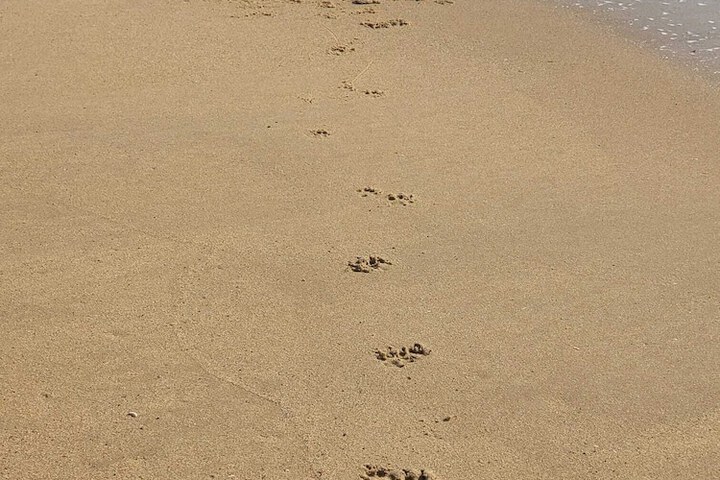 Beach 28 of 32